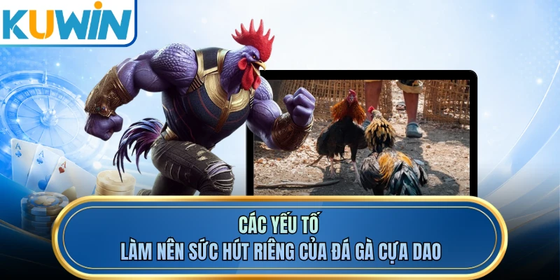 Các yếu tố làm nên sức hút riêng của đá gà cựa dao 