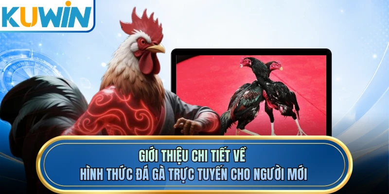 Giới thiệu chi tiết về hình thức đá gà trực tuyến cho người mới