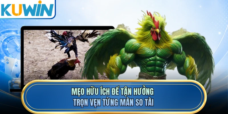 Mẹo hữu ích để tận hưởng trọn vẹn từng màn so tài 
