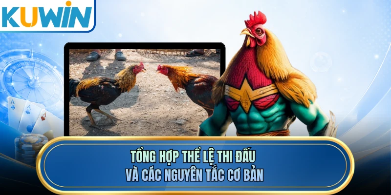 Tổng hợp thể lệ thi đấu và các nguyên tắc cơ bản 